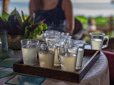 2017_MRZ_Bali_pranaveda-5928-1536x1024