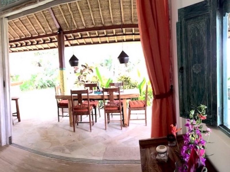 Frangipani-1-rechts-2