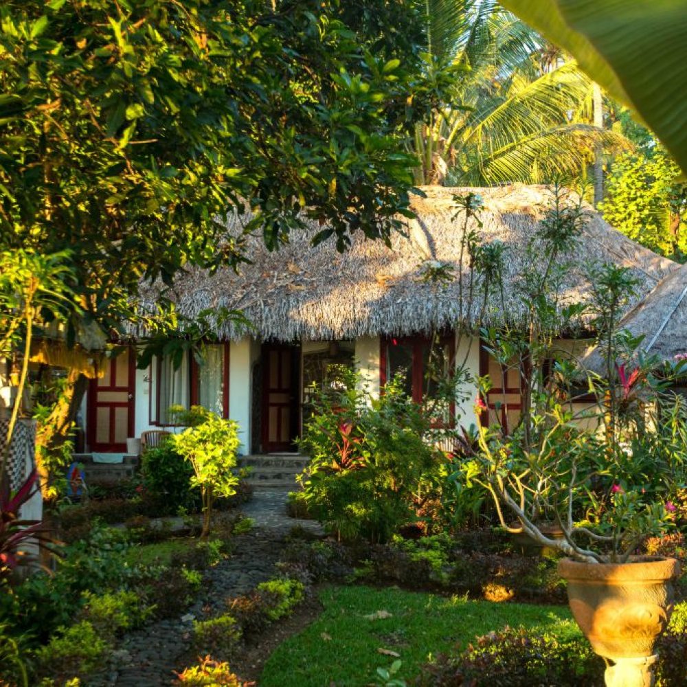 Geckohouse-1024x683