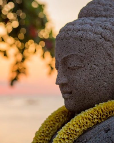 X91A7895-e1587354454542-800x500